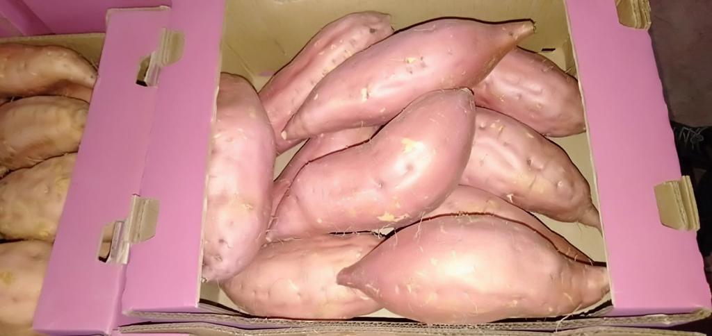 Product image - now available #Sweet_Potato

Packing : 5 kg per carton
Class 1
Container :40 feet / 22 – 23 ton
Best Quality 💯
Best Price💯
Order Now 💥
Best Regards
Ms / Merna Hesham
for any inquiries please contact me

Cell(whats-app) 00201093042965📞
email :alshamsexporting@yahoo.com✉